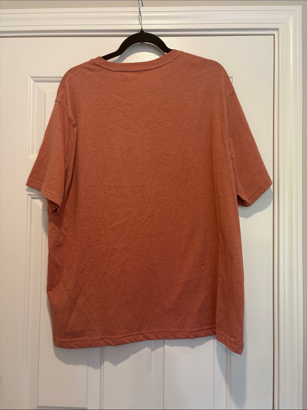 Banana Republic Premium Wash Tee — Burnt Sienna - Picture 2 of 4